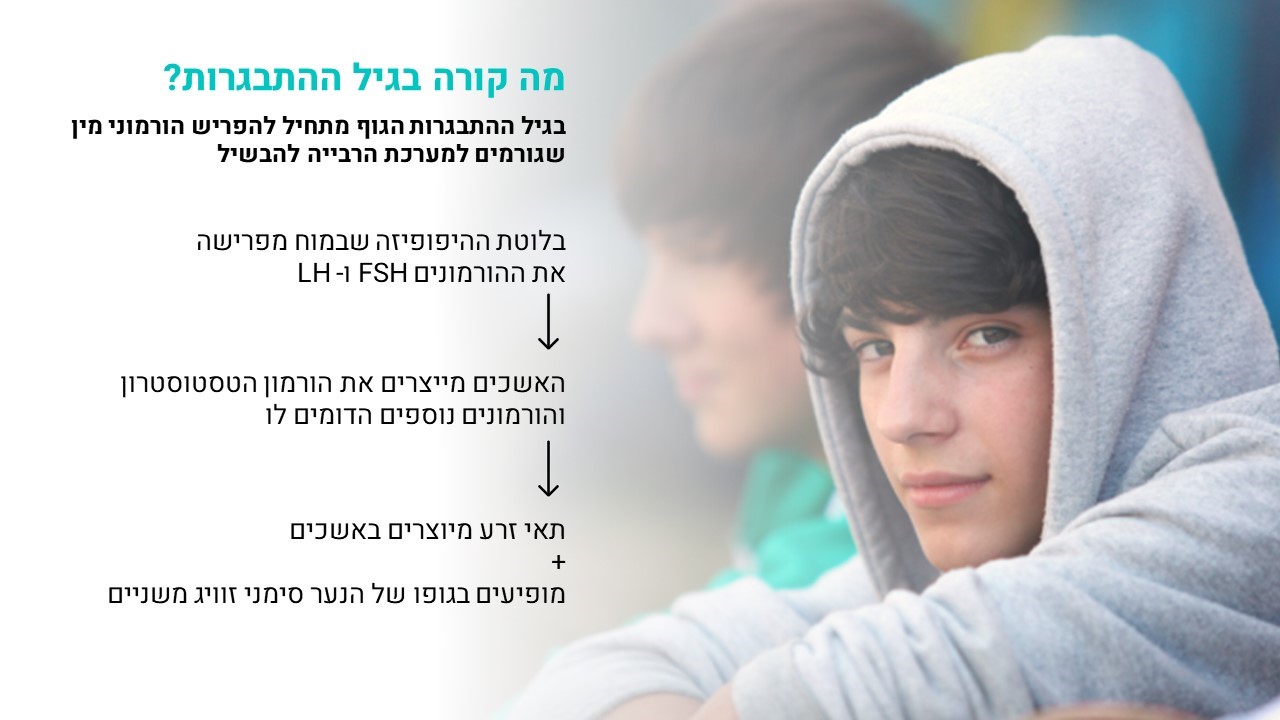 שקף