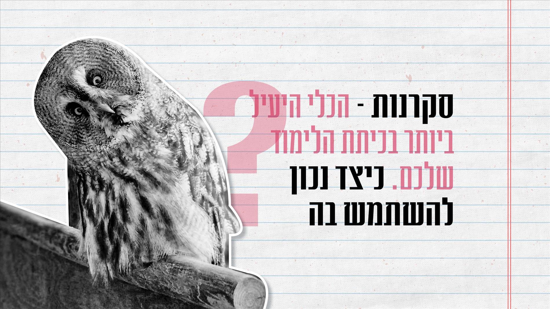 סקרנות – הכלי היעיל ביותר בכיתת הלימוד שלכם. כיצד נכון להשתמש בה? 