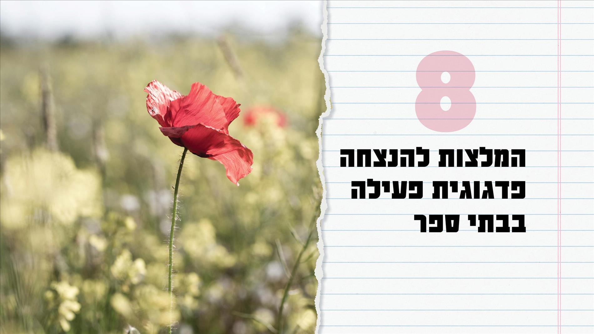 8 המלצות להנצחה פדגוגית פעילה בבתי ספר