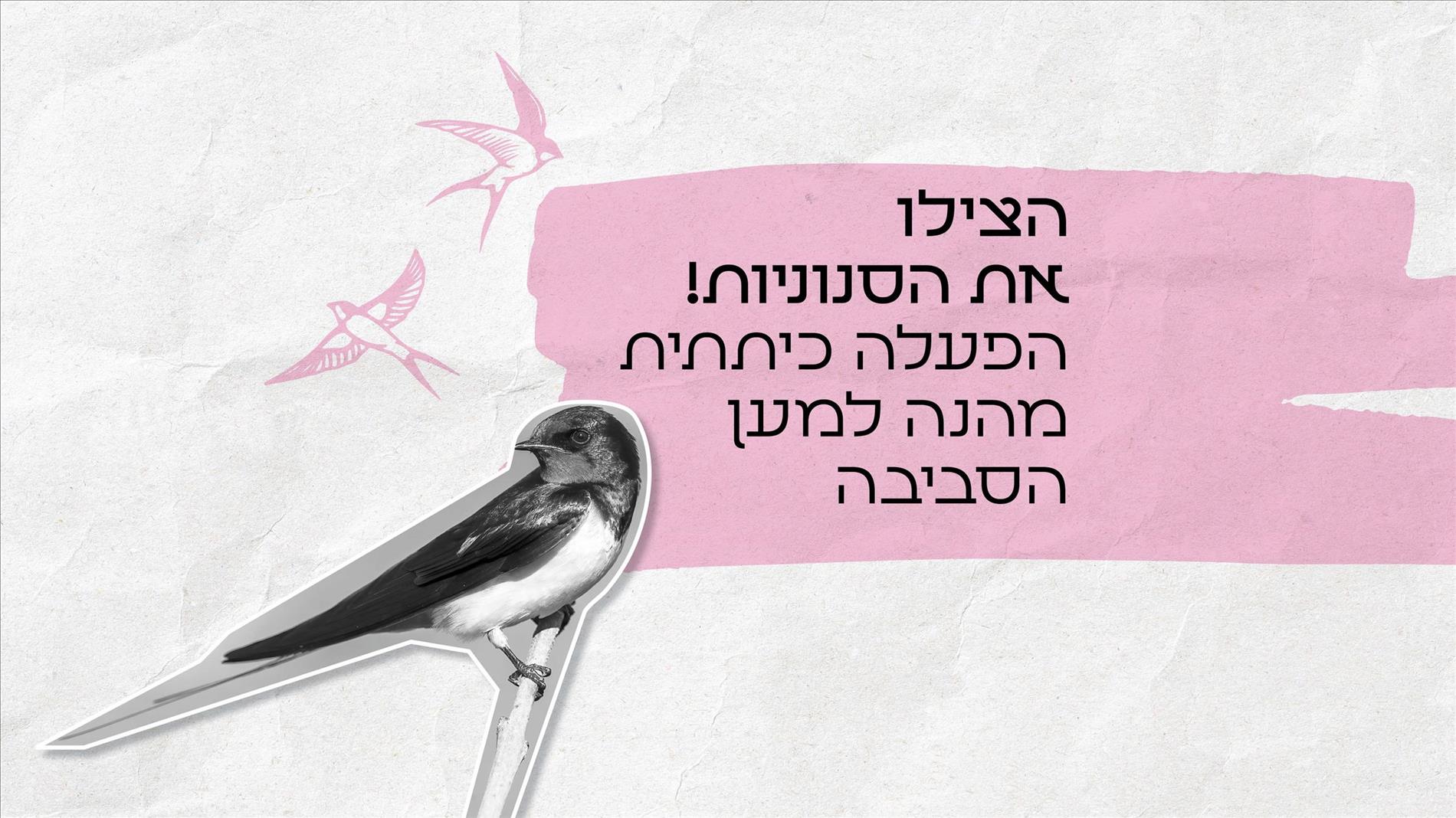הצילו את הסנוניות! הפעלה כיתתית מהנה למען הסביבה