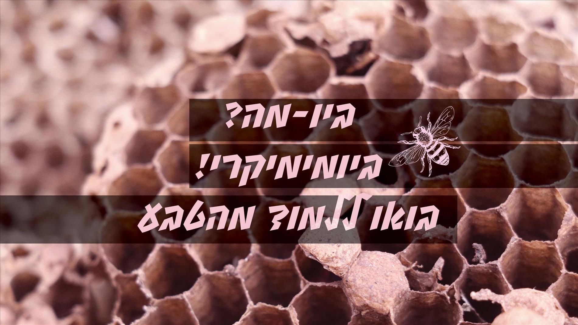 ביו-מה? ביומימיקרי! בואו ללמוד מהטבע